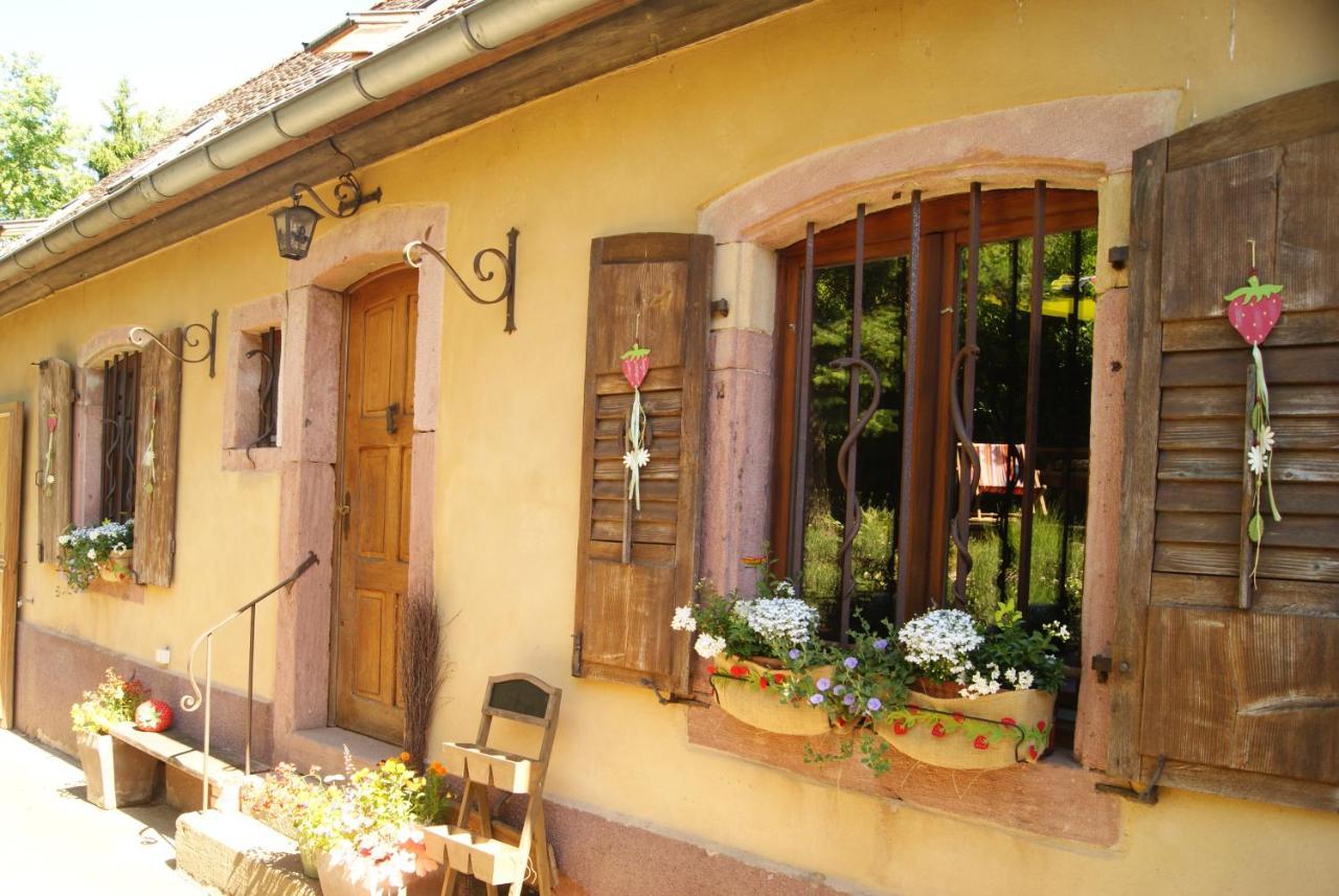Gite Du Thalala Bernardvillé Exterior photo