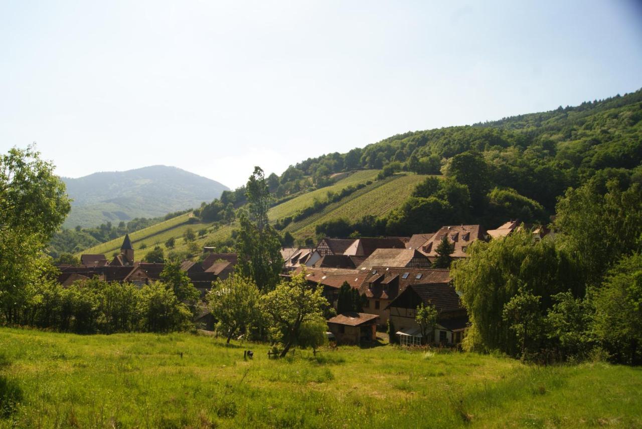 Gite Du Thalala Bernardvillé Exterior photo